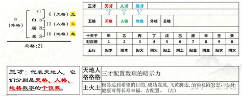 三才|易经中三才指的是什么？是人的四种关系吗？能详细解释下三才究。